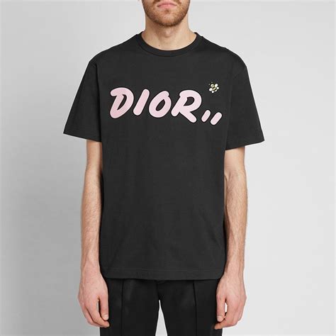 dior kaws bee t-shirt|kaws bee cotton shirt.